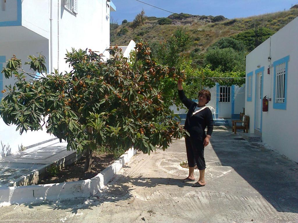 Dionysia Apartments Kéfalos Esterno foto